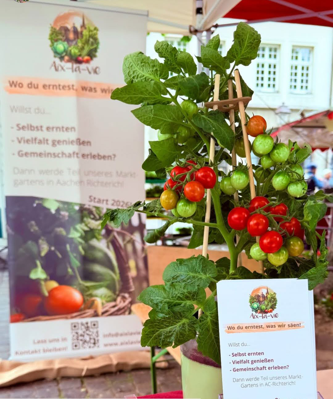Unser Informationsstand auf dem Münsterplatz in Aachen am 24.05.2025