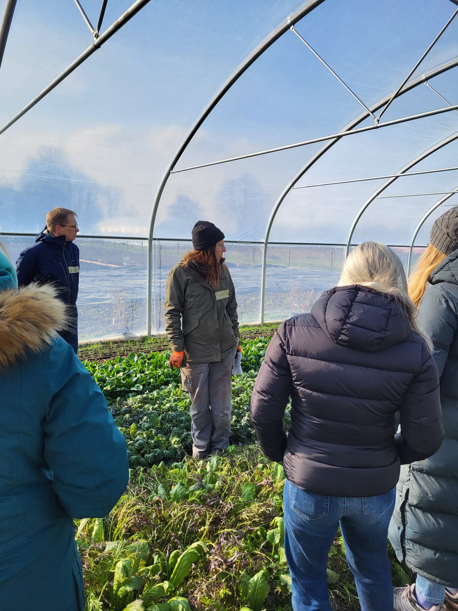 Sandra erklärt einer Besuchergruppe die Ernte im Folientunnel