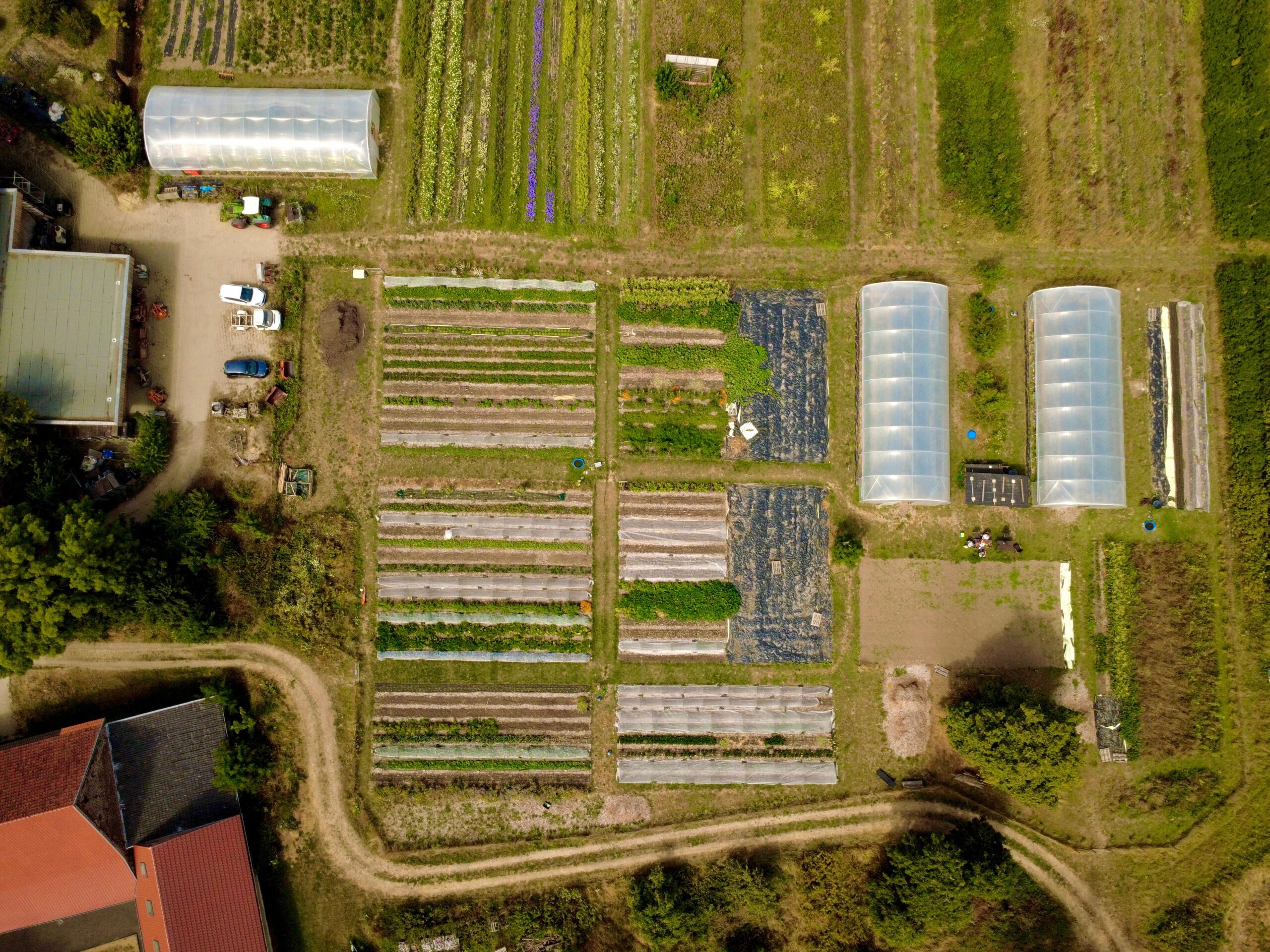 Der gesamte Marktgarten aus der Luft im August 2026